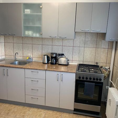Victoriei Boulevard Private Apartment Брашов Экстерьер фото