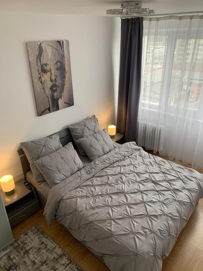 Victoriei Boulevard Private Apartment Брашов Экстерьер фото