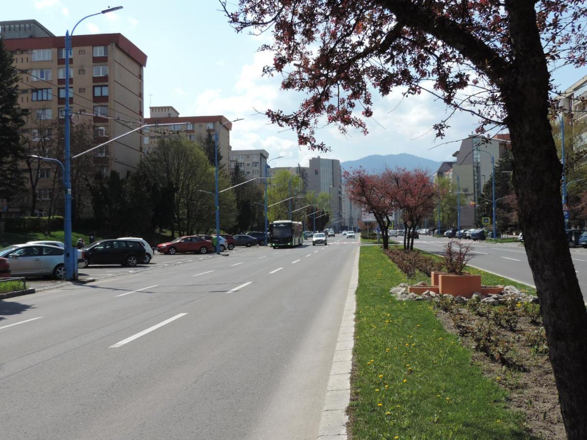 Victoriei Boulevard Private Apartment Брашов Экстерьер фото