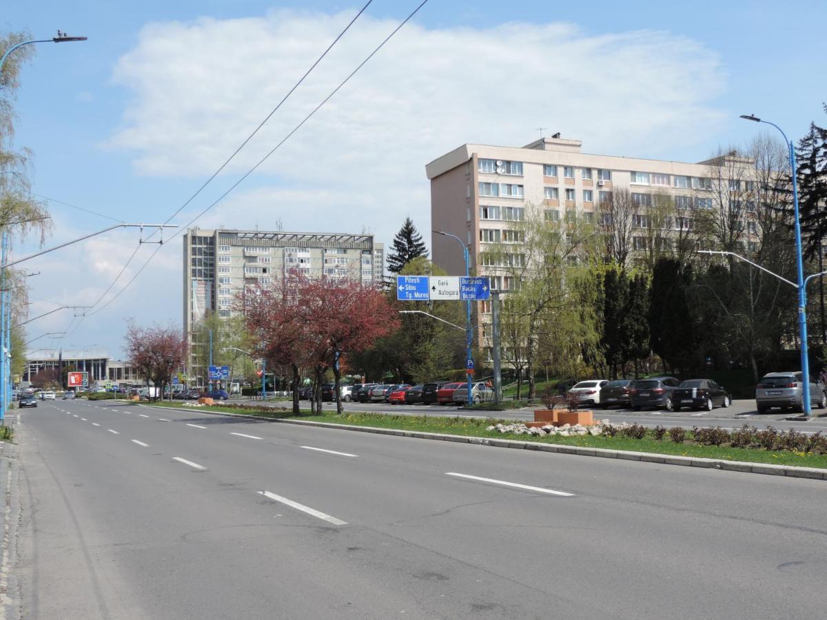 Victoriei Boulevard Private Apartment Брашов Экстерьер фото